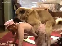 Pet XXX Video - Busty cheating wife makes out with a brown dog